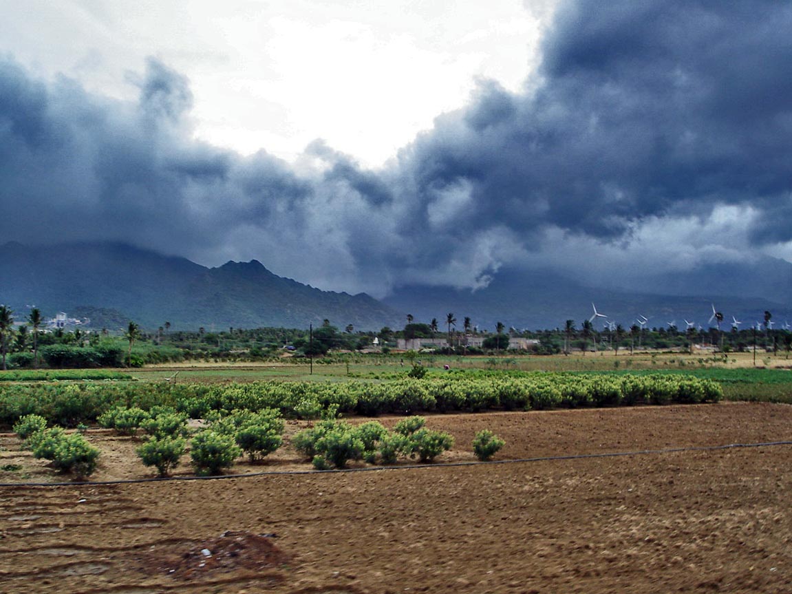मानसून ने पकड़ी रफ्तार: मुंबई पहुँचा, ओडिशा-बिहार-बंगाल में भारी बारिश का अलर्ट